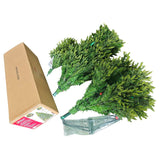 Hometown Holidays 357-6379T75LDF5K5 Grand Fir Tree, 7-1/2 ft H