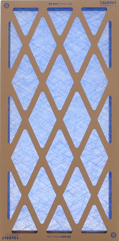 True Blue 112241 Air Filter, 24 in L, 12 in W, 2 MERV, Pack of 12
