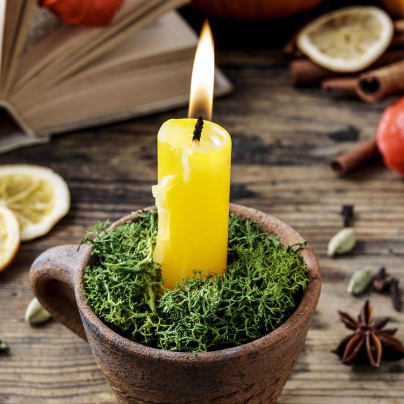 Mosser Lee Soil Cover Organic Dark Green Reindeer Moss 3 oz