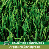 Scotts Turf Builder Argentine Bahiagrass Sun or Shade Grass Seed 5 lb
