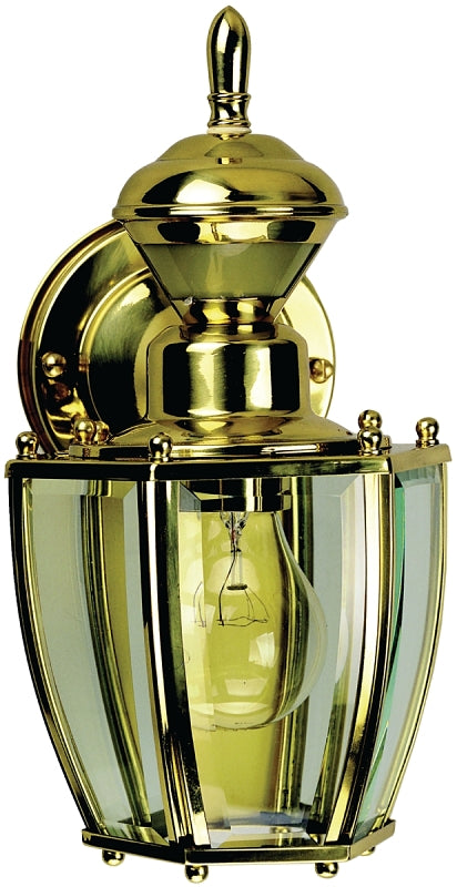 Heath Zenith HZ-4170-PB Motion Activated Decorative Light, 10 in H x 7 in W x 6 in D Dimensions, Clear Shade, 120 V