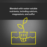 General Hydroponics MaxiBloom Granules Plant Food 2.2 lb