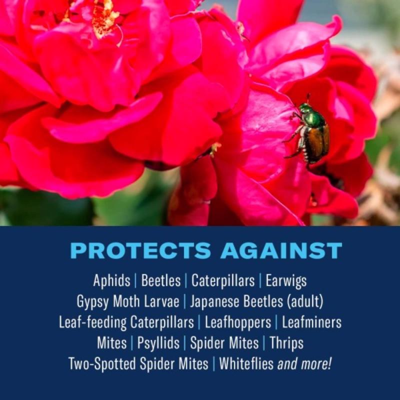 BioAdvanced All-in-One Rose and Flower Care Concentrate 32 oz