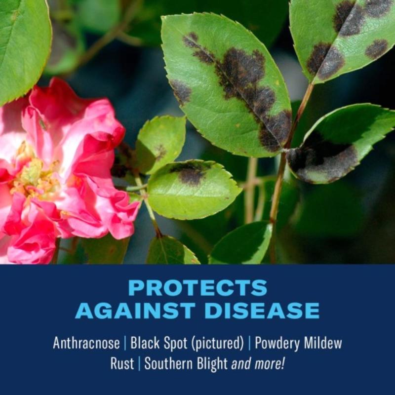 BioAdvanced All-in-One Rose and Flower Care Concentrate 32 oz