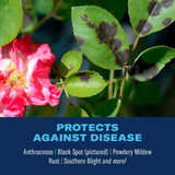 BioAdvanced All-in-One Rose and Flower Care Concentrate 32 oz