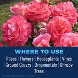 BioAdvanced All-in-One Rose and Flower Care Concentrate 32 oz