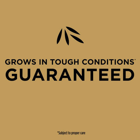 Scotts EZ Seed Bermuda Grass Full Sun Grass Spot Repair Mix 20 lb