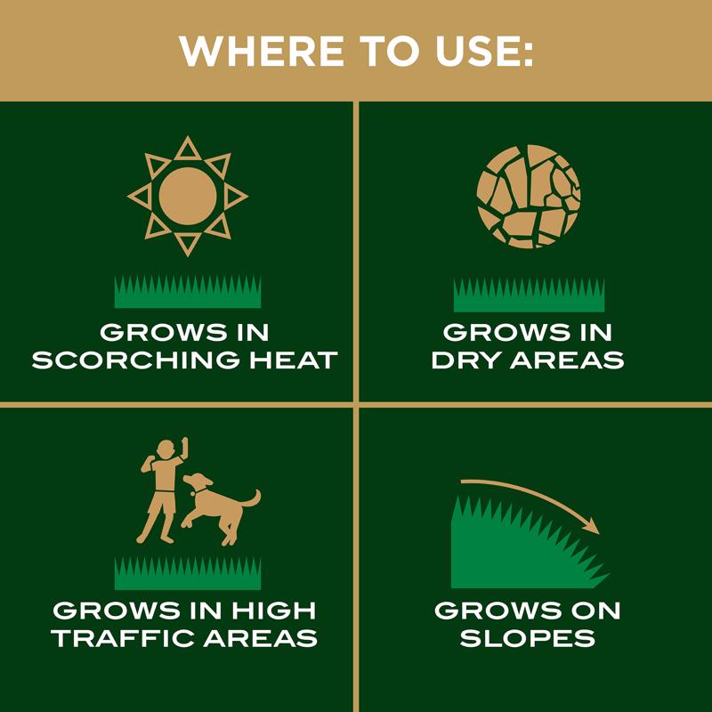 Scotts EZ Seed Bermuda Grass Full Sun Grass Spot Repair Mix 20 lb