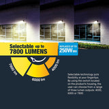 Halo WXP Series WXPM80LSFSUNVDBZ Wall Pack, 60 W, 120/277 V, LED, 7520 Lumens, 5000 K, Aluminum