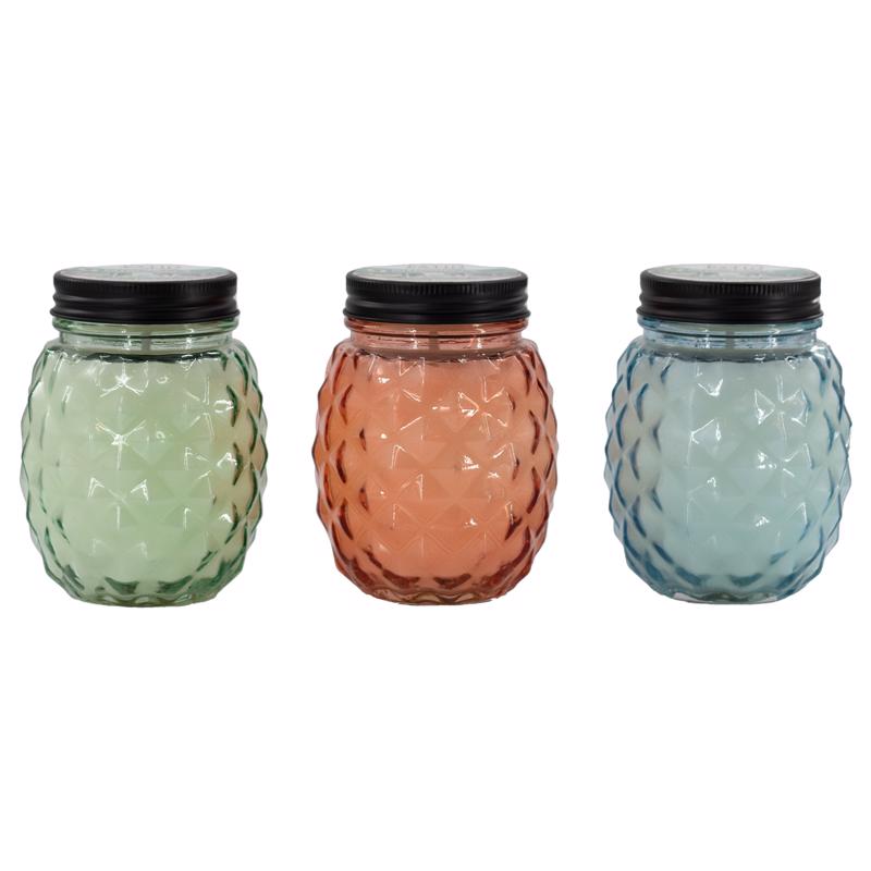 Patio Essentials Citronella Mason Jar Candle For Mosquitoes/Other Flying Insects 13 oz, Pack of 9