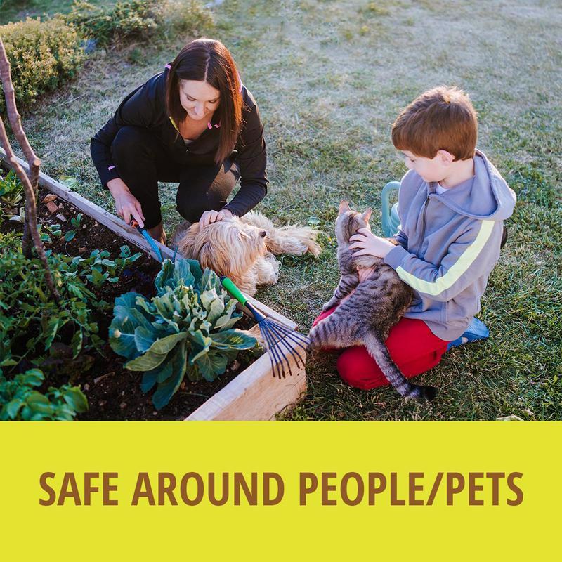 VoleX Non-Toxic Bait Pellets For Voles 8 oz 1 pk