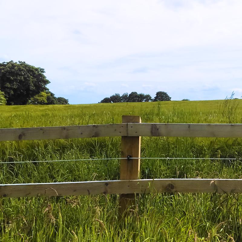 Ironridge 171 ft. L Galvanized Steel 9 Ga. Wire