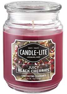 Candle-Lite 3297565 Jar Candle, Juicy Black Cherries Fragrance, Burgundy Candle, 70 to 110 hr Burning, Pack of 4