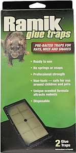 Neogen 116230 Glue Trap, Pack of 12