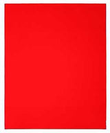 Diablo DCS911080S01B Sanding Sheet, 9 in W, 11 in L, 80 Grit, Coarse, Aluminum Oxide Abrasive, Paper Backing, 1/PK, Pack of 50