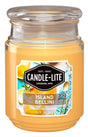 Candle-Lite 32971273 Candle, 18 oz, Island Bellini, 110 hr, Pack of 4