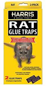 Harris HRG-2 Rat Glue Trap