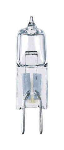 Westinghouse 10 W JC Decorative Halogen Bulb 120 lm White 1 pk