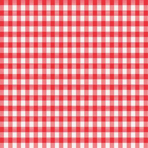 Magic Cover Red/White Checkered Vinyl Disposable Tablecloth 70 in. L X 52 in. W