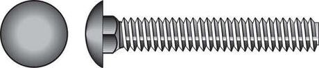 HILLMAN 1/2 in. X 2 in. L Stainless Steel Carriage Bolt 25 pk