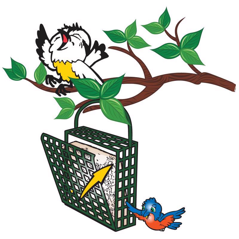 C&S Products Orange Delight Assorted Species Beef Suet Wild Bird Food 11.75 oz, Pack of 12