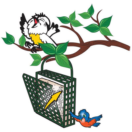 C&S Products Orange Delight Assorted Species Beef Suet Wild Bird Food 11.75 oz, Pack of 12