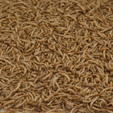 Kaytee Mealworms Wild Bird/Poultry Dried Mealworm Mealworms 32 oz