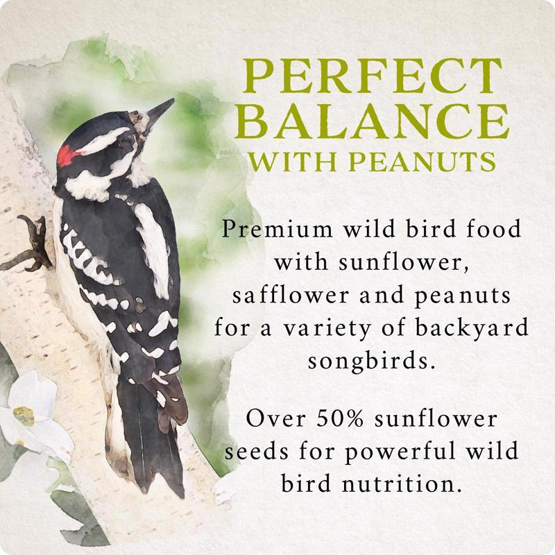 Songbird Selections Perfect Balance Wild Bird Sunflower Seeds and Peanuts Wild Bird Food 5 lb