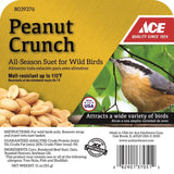 Ace Peanut Crunch Assorted Species Beef Suet 11 oz, Pack of 12