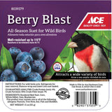 Ace Berry Blast Assorted Species Beef Suet 11 oz, Pack of 12