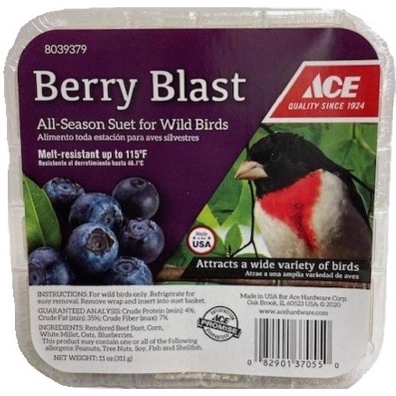 Ace Berry Blast Assorted Species Beef Suet 11 oz, Pack of 12