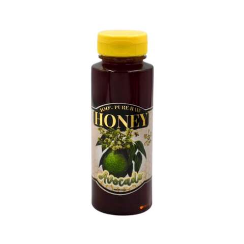 World Honey Market Avocado Honey 12 oz Bottle, Pack of 12