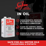 Sea Foam Gasoline/2 and 4 Cycle Engine Complete Fuel System Cleaner 1 gal, Pack of 4