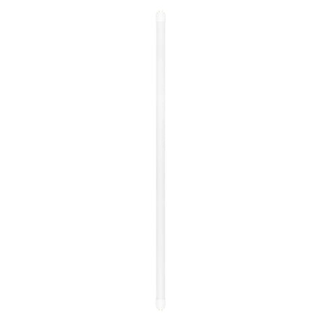 Sylvania 42419 LED Tube Light, Type A, T12 Lamp, 6500 K Color Temp