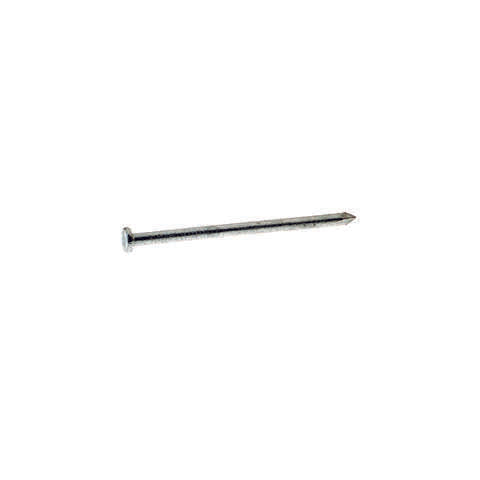 Grip-Rite 12D 3-1/4 in. Common Hot-Dipped Galvanized Steel Nail Flat Head 50 lb