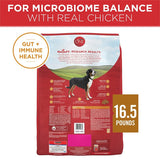 Purina ONE SmartBlend 14937 Dog Food, Adult Breed, Wet, Brown Rice, Lamb Flavor, 16.5 lb Can