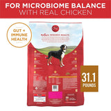 Purina SmartBlend 149396 Dog Food, Dry, Chicken, Rice Flavor, 31.1 lb