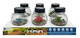 Boston Harbor 26147 Jar, Ni-Mh Battery, 1-Lamp, LED Lamp, Glass Stone Succulent Stainless Steel Fixture, Pack of 6