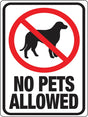 Hy-Ko 20616 Identification Sign, Rectangular, NO PETS ALLOWED, Black/Red Legend, White Background, Plastic, Pack of 10