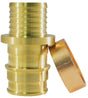 Apollo ExpansionPEX Series EPXBC345PK Conversion Coupling, 3/4 in, Barb, PEX-A, Brass, 200 psi Pressure