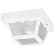 Westinghouse Matte White Switch Incandescent Light Fixture