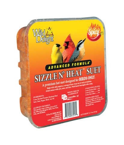 Wild Delight Sizzle N Heat Songbird Beef Suet Wild Bird Food 11.75 oz, Pack of 12