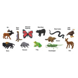 Safari Ltd. Toobs In the Woods Toy Multicolor 12 pc