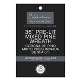 Celebrations Platinum 36 in. D LED Prelit Pure White Mixed Pine Christmas Wreath, Pack of 2
