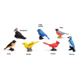 Safari Ltd. Toobs Backyard Birds Toys Assorted 7 pc