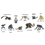 Safari Ltd. Toobs Primates Toys Multicolor 10 pc