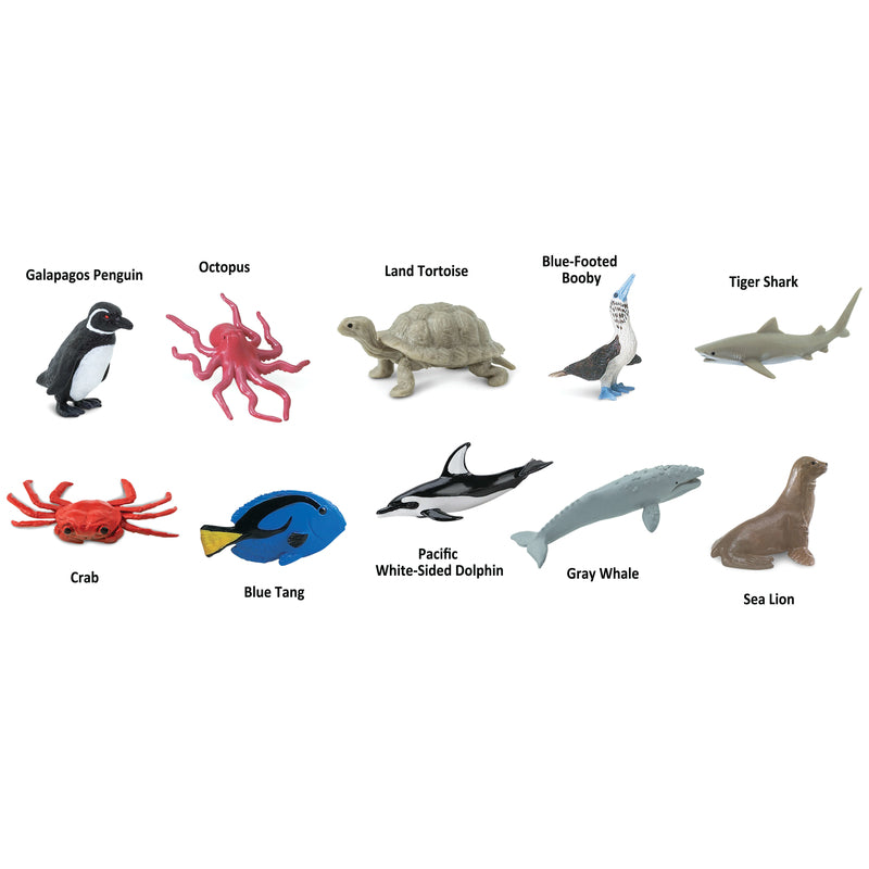 Safari Ltd. Toobs Pacific Toy Assorted 10 pc