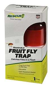 Rescue FFTR-BB4 Fruit Fly Trap, 1, Card