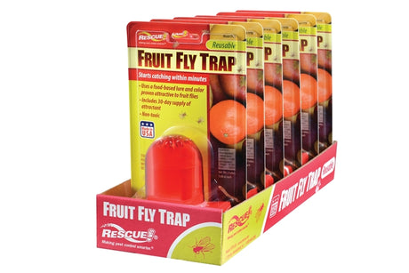 Rescue FFTR-BB4 Fruit Fly Trap, 1, Card