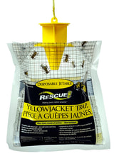 TRAP YJ DISPOSABLE WEST CA DSP, Pack of 48